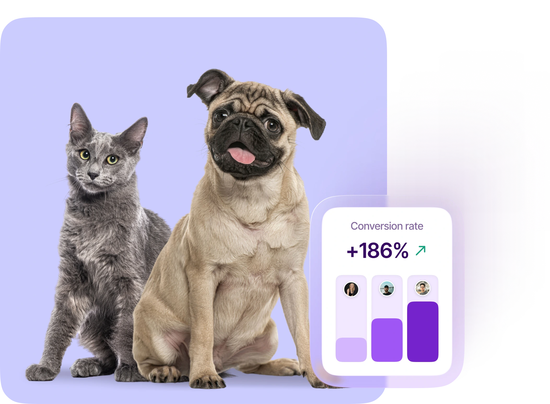 Pets & Animal Care integration